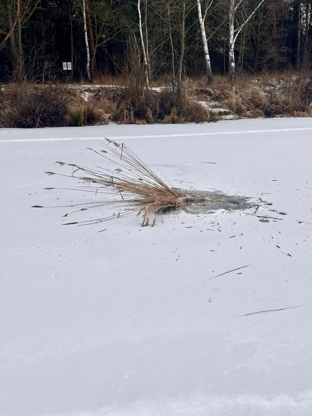 Zimowe prace na stawach Gryżyce 1, 2, 3 zakończone!